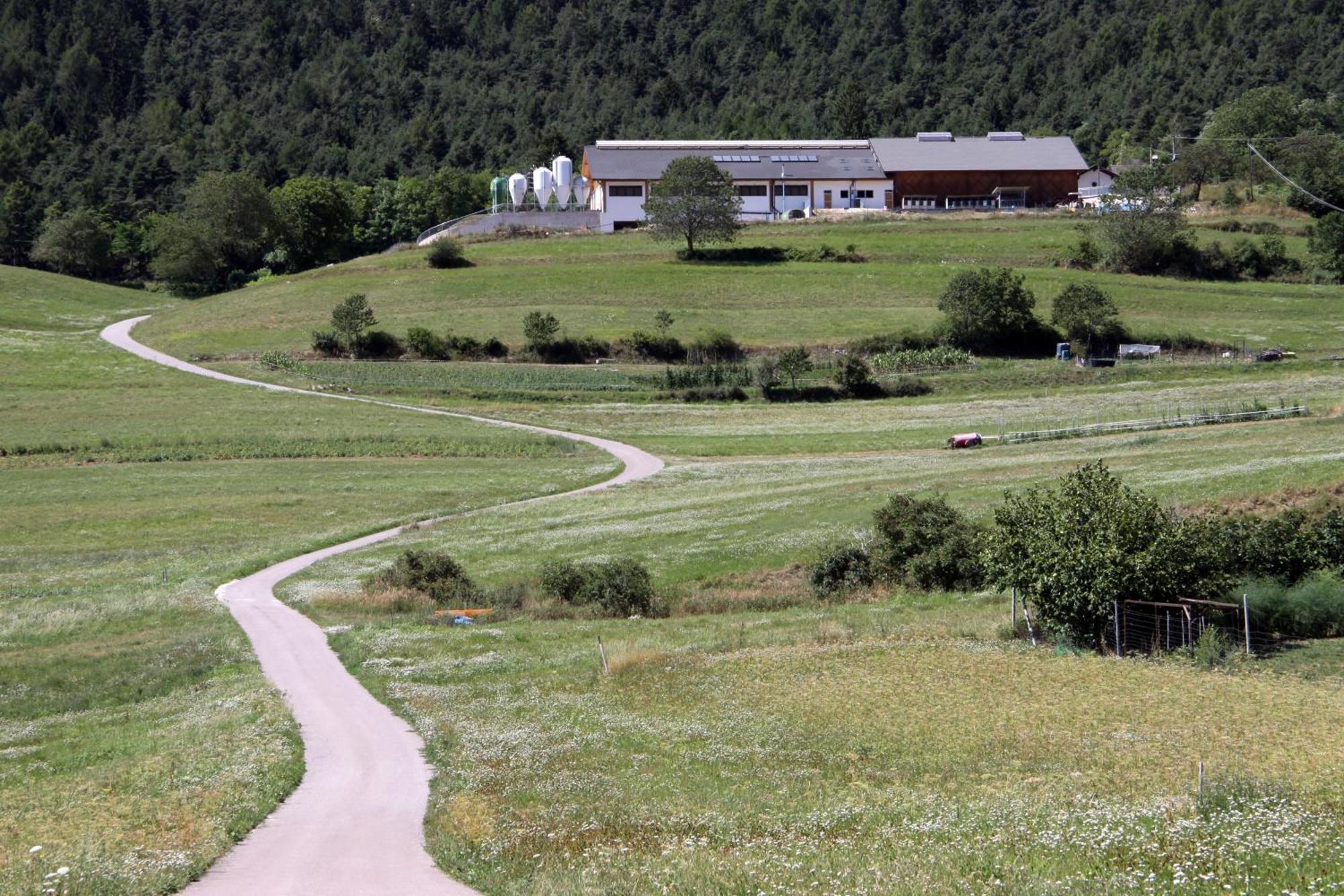 Locanda Alpina Brez Εξωτερικό φωτογραφία